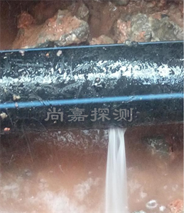 潘集消防管道漏点探测