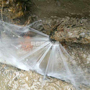 潘集自来水管道漏点检测